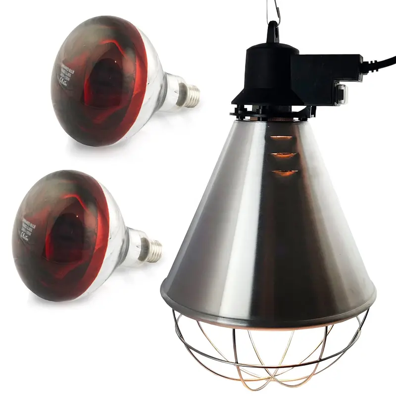 250W Infrared Heat Lamp – Energy-Efficient Bulb-Based Heater 1