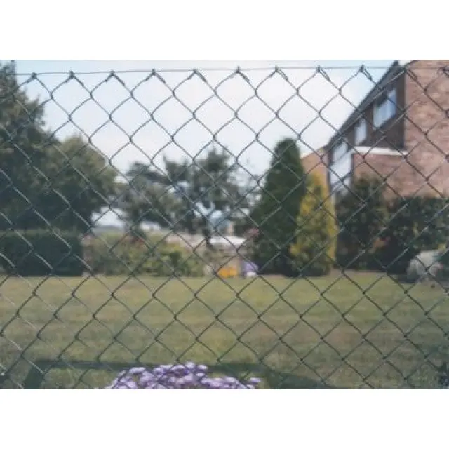 50 Mm Pvc-Coated Wire Mesh – 1 M × 10 M Roll For Fencing Or Diy Projects