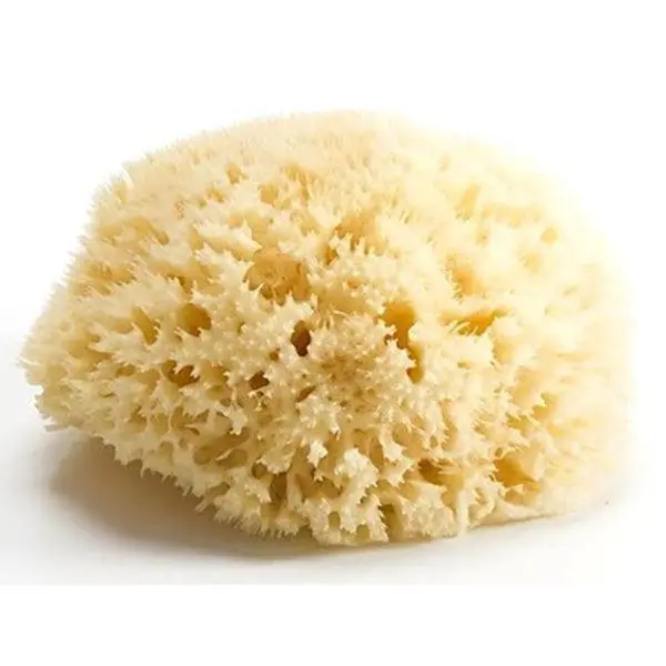 Bellini Natural Sea Sponge For Babies – Hypoallergenic, 0+ Months 1