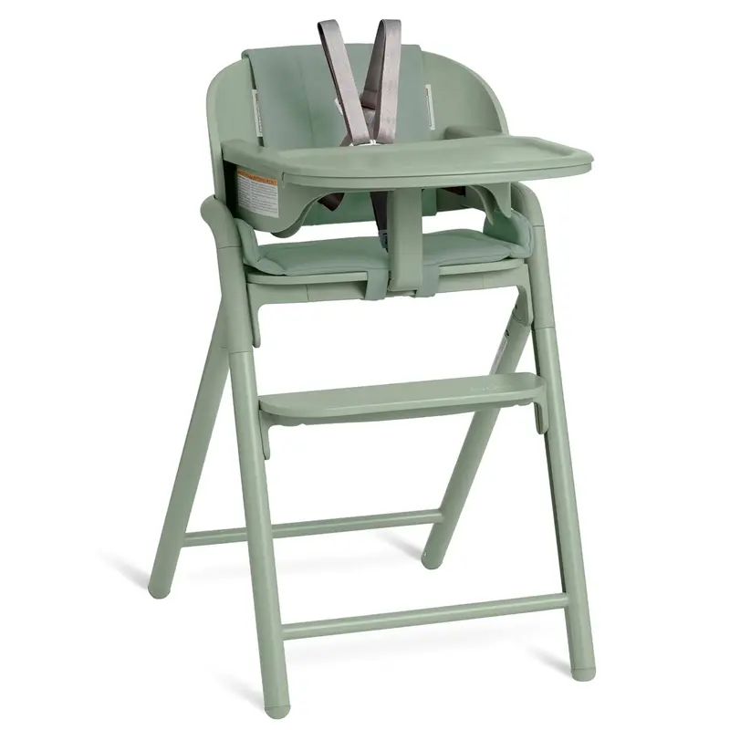 Evolur Step & Savor High Chair – Adjustable Height & Reclining Seat 1