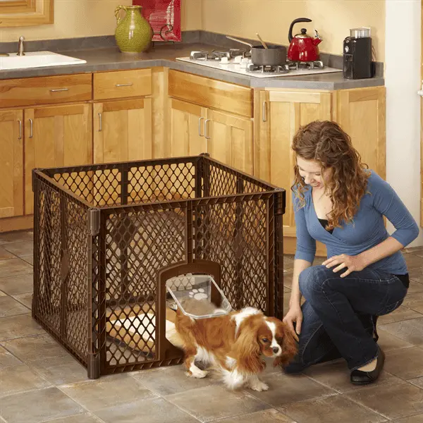 Petyard Passage Four-Panel Playpen In Warm Brown 1