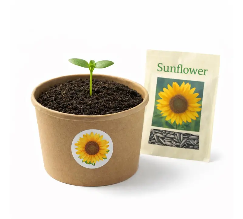 Sunflower School Garden Starter Kit – Educational Grow-At-School Box 1